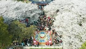 彝良烟草公司为龙洞村安装“民心灯”