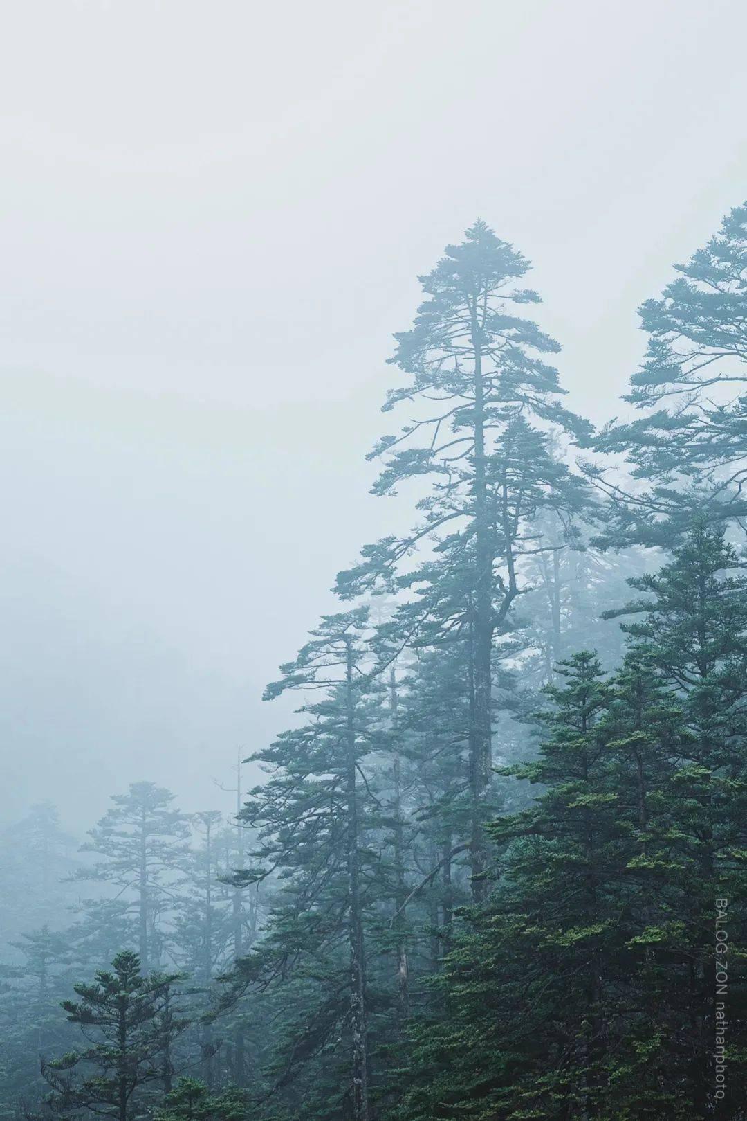 美女一身白色翻领连衣裙，高贵有气场，你觉得显身材曲线吗？游戏画面